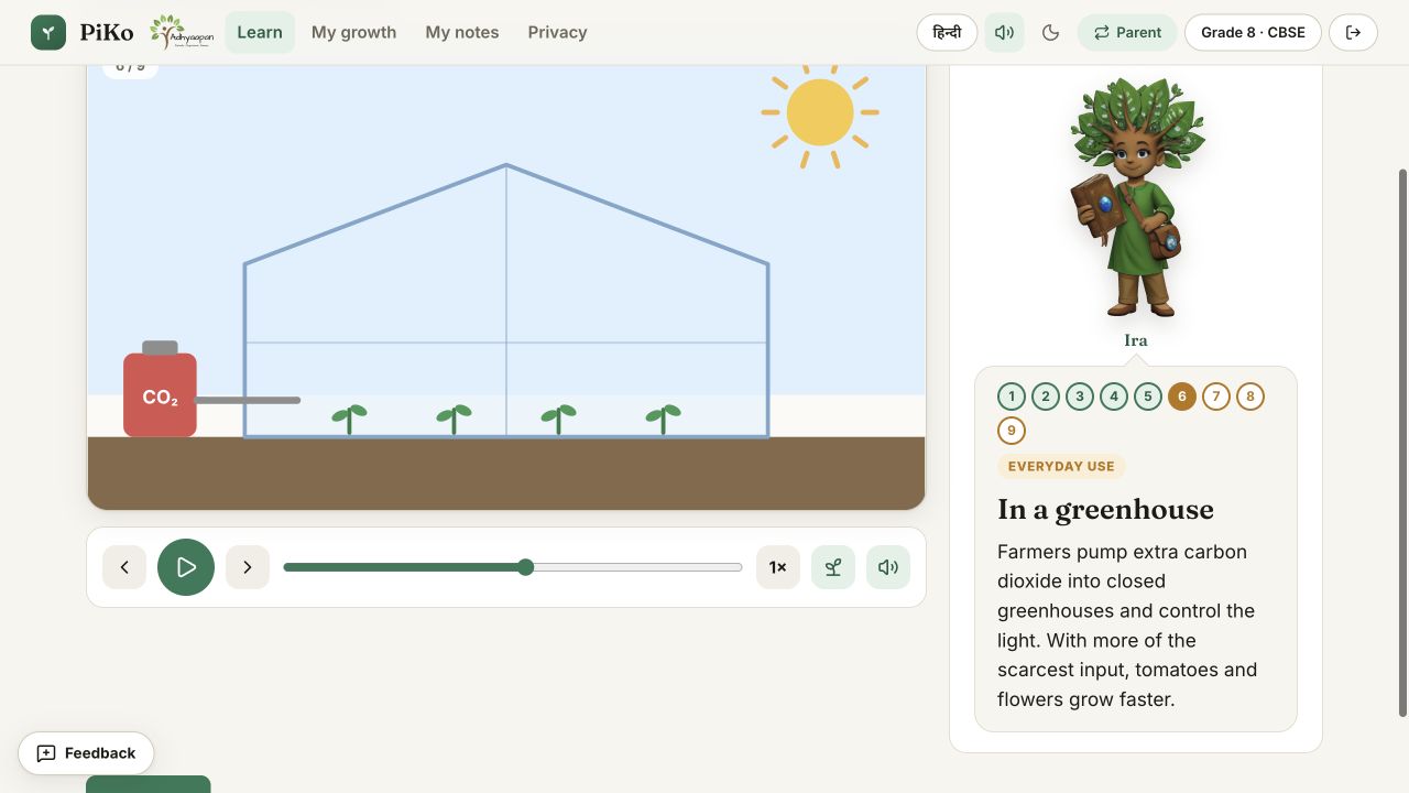 Actual PIKO photosynthesis lesson: a greenhouse scenario with Ira’s questions.